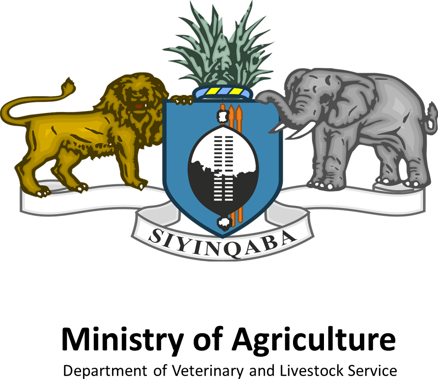 Government of Eswatini
